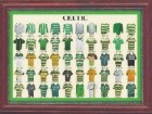 Celtic